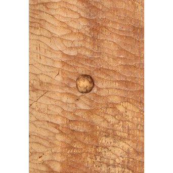 植木茂　抽象彫刻家　木彫像　S2766 