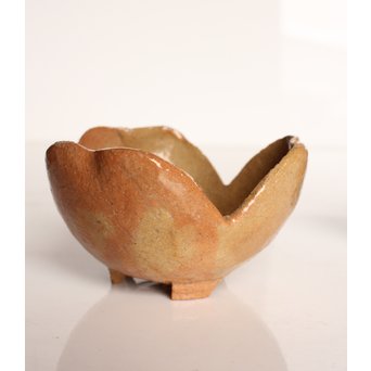 楽九代了入作　楽焼白釉三つ葉向付5客　S2800 