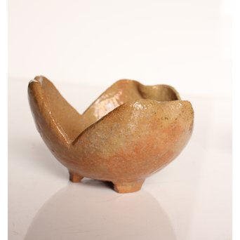 楽九代了入作　楽焼白釉三つ葉向付5客　S2800 