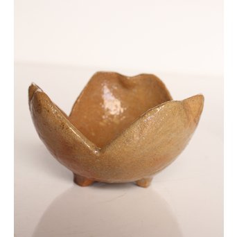 楽九代了入作　楽焼白釉三つ葉向付5客　S2800 