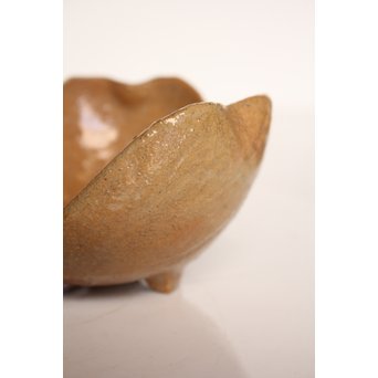 楽九代了入作　楽焼白釉三つ葉向付5客　S2800 