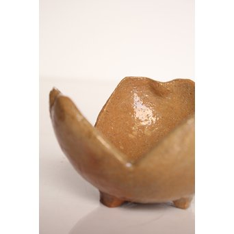 楽九代了入作　楽焼白釉三つ葉向付5客　S2800 