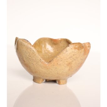 楽九代了入作　楽焼白釉三つ葉向付5客　S2800 