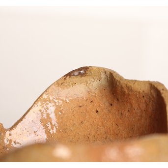 楽九代了入作　楽焼白釉三つ葉向付5客　S2800 