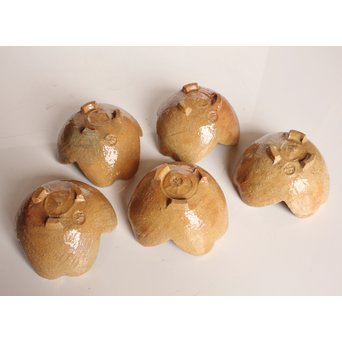 楽九代了入作　楽焼白釉三つ葉向付5客　S2800 