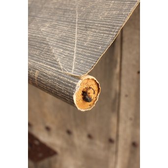 千家宗左覚々斎　書状掛軸　K405 