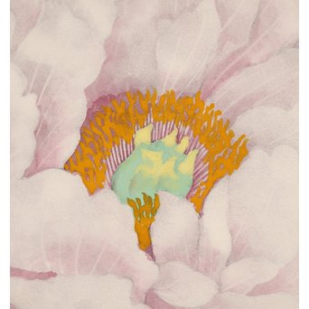 大矢十四彦　富貴花8号　S2884 