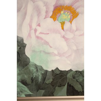 大矢十四彦　富貴花8号　S2884 