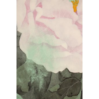 大矢十四彦　富貴花8号　S2884 