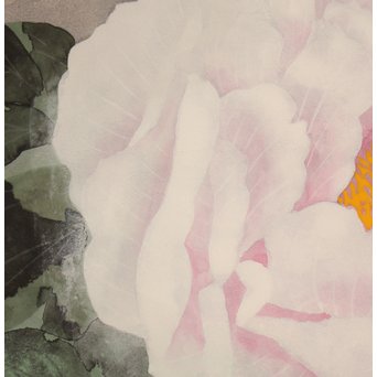 大矢十四彦　富貴花8号　S2884 