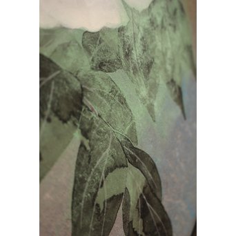 大矢十四彦　富貴花8号　S2884 