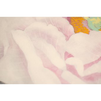 大矢十四彦　富貴花8号　S2884 