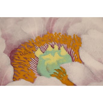 大矢十四彦　富貴花8号　S2884 