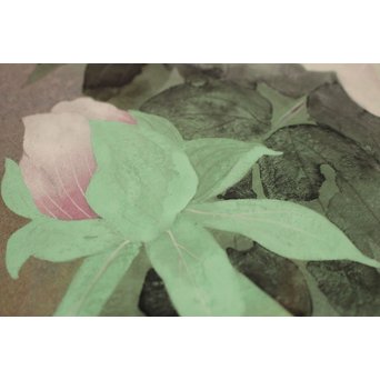 大矢十四彦　富貴花8号　S2884 