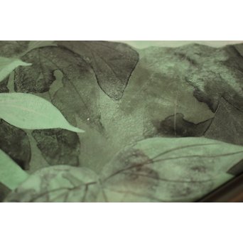 大矢十四彦　富貴花8号　S2884 