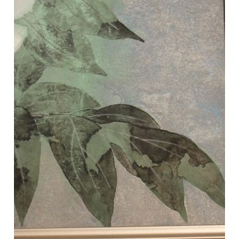 大矢十四彦　富貴花8号　S2884 