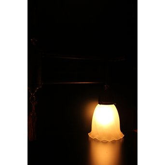 銀杏意匠2灯シャンデリア照明　A1662 