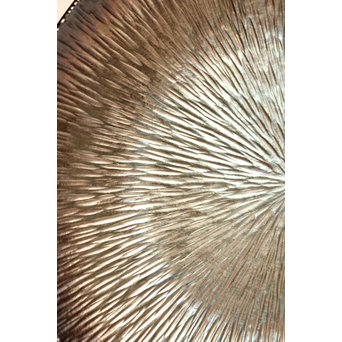 人間国宝 関谷四郎 73`徳力 純銀皿　S2919 