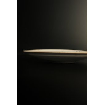 初期伊万里 吹墨鷺文中皿　S2922 