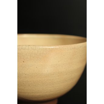 永楽保全×大徳寺 大綱宗彦(合作)　松の図茶碗　K469 