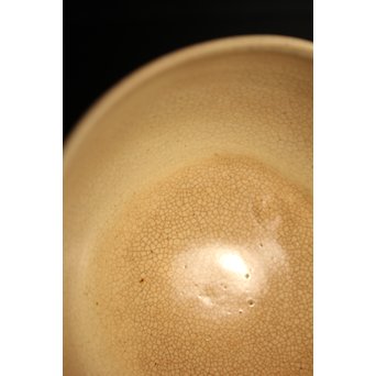 永楽保全×大徳寺 大綱宗彦(合作)　松の図茶碗　K469 