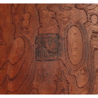 大野 昭和斎 桑葡萄杢香盆/煎茶盆  K507 