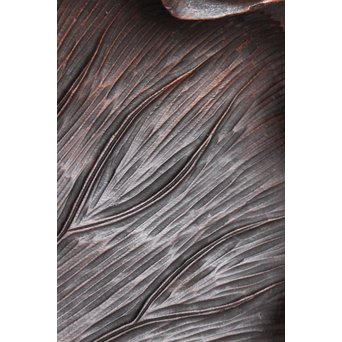 蓮の煎茶盆　K566 