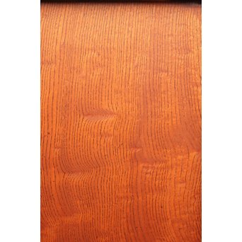 太框 泡杢上欅の帯戸 4枚1組　B894 