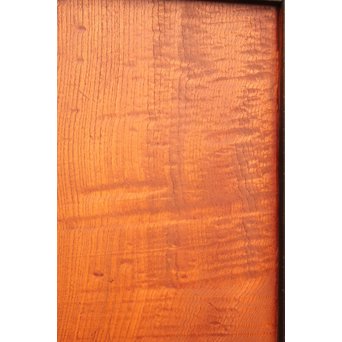 太框 泡杢上欅の帯戸 4枚1組　B894 