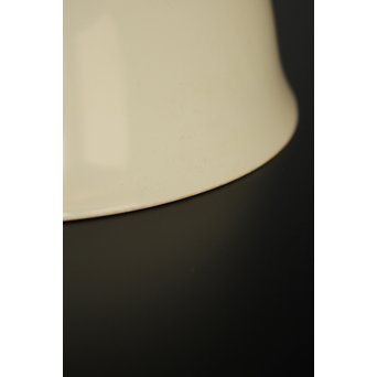 日陶オールドノリタケ薔薇 電笠/照明　A1799 