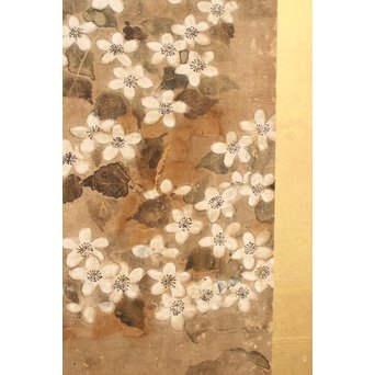 倣 俵屋宗達[伊年印] 草花図 時代屏風一双　Z010 