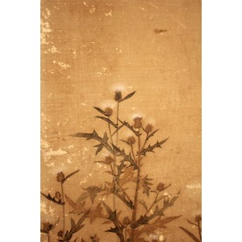 倣 俵屋宗達[伊年印] 草花図 時代屏風一双　Z010 