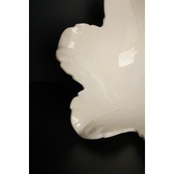 五代 清水六兵衛 白磁百合向付5客　P016 