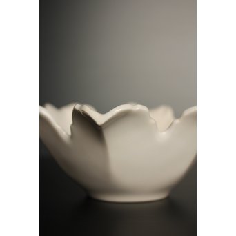 五代 清水六兵衛 白磁百合向付5客　P016 