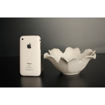 五代 清水六兵衛 白磁百合向付5客　P016 