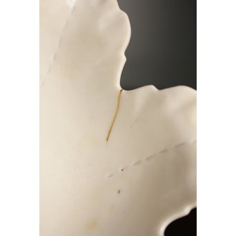 五代 清水六兵衛 白磁百合向付5客　P016 