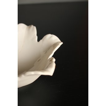 五代 清水六兵衛 白磁百合向付5客　P016 