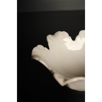 五代 清水六兵衛 白磁百合向付5客　P016 