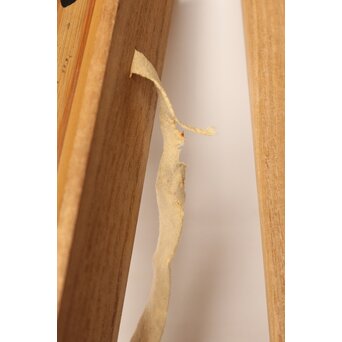 黒田正玄 茶杓【志ら山】　U016 