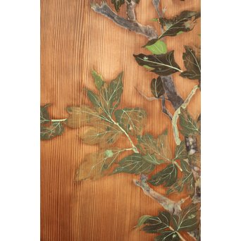 板絵建具 2枚1組　B898 