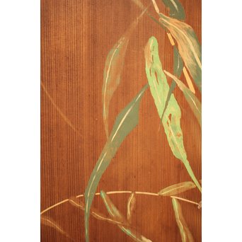 板絵建具 2枚1組　B898 