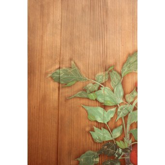 板絵建具 2枚1組　B898 