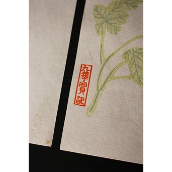 上海 九華堂寶記名牋/詩孫 詩箋　Z015 