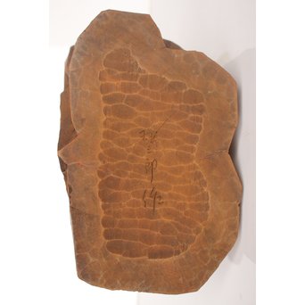 宮本理三郎 木彫彩色【鷹】 X032 