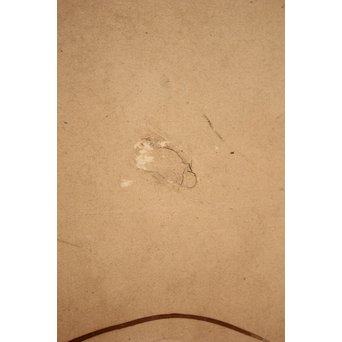 倣 俵屋宗達[伊年印] 草花図 時代屏風一双　Z040 