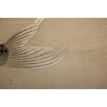 明治刺繍画 登美銘 鯉図　Z042 