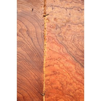 天地腰板 総欅巾着金具蔵戸　W935 