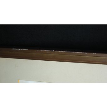 ジョアン・ミロ 黄金の羽を持つトカゲ PL.2 Joan Miró, Le lezard aux plumes d'or Ⅱ リトグラフ　Z048 