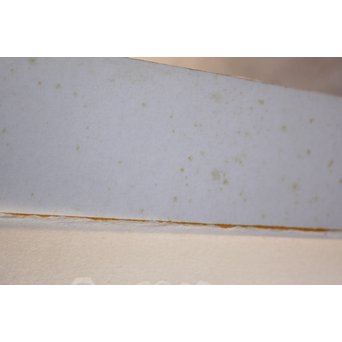 ジョアン・ミロ 黄金の羽を持つトカゲ PL.2 Joan Miró, Le lezard aux plumes d'or Ⅱ リトグラフ　Z048 