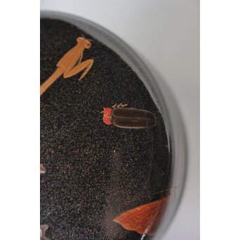 虫蒔絵 平棗　Q028 